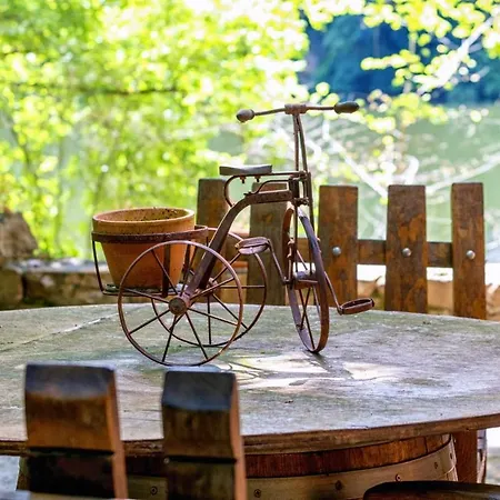 Détente Au Bord De L'eau - Le Du Carla Avec Et Ponton Privé Castelnau-de-Lévis