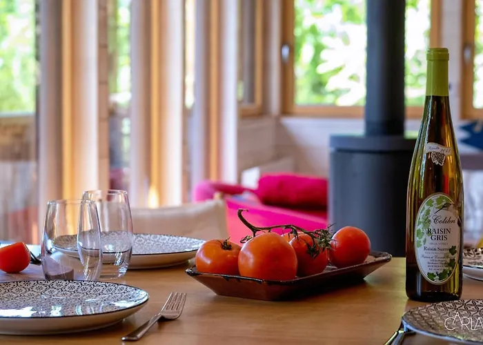 Detente Au Bord De L'eau - Le Du Carla Avec Et Ponton Prive Chalet