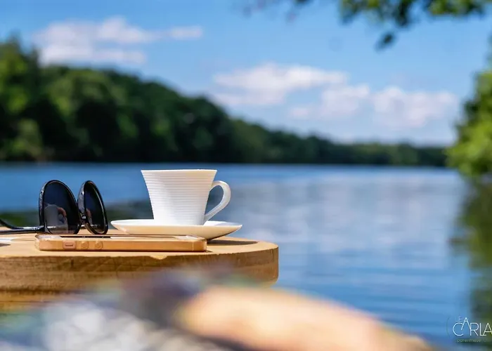 Detente Au Bord De L'eau - Le Du Carla Avec Et Ponton Prive * Castelnau-de-Lévis